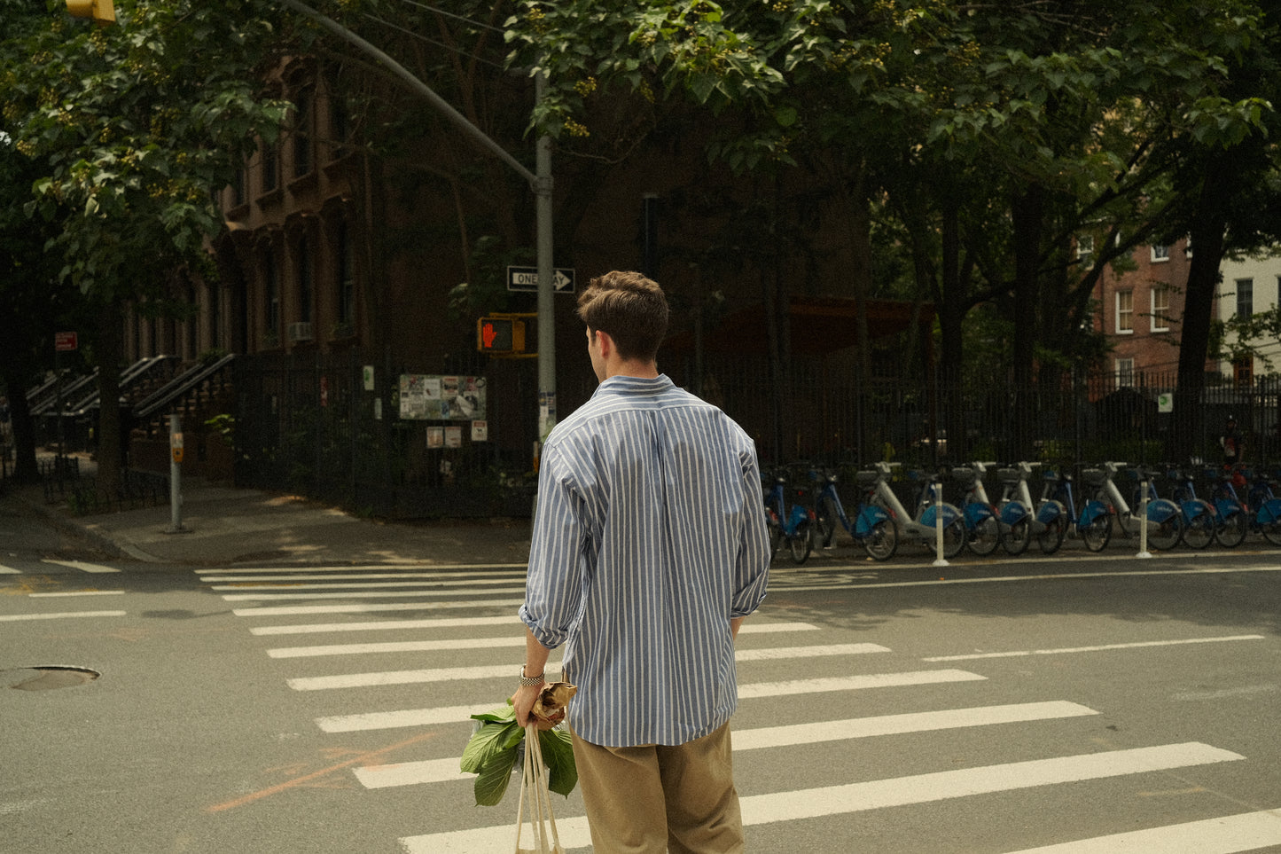 Blue Stripe